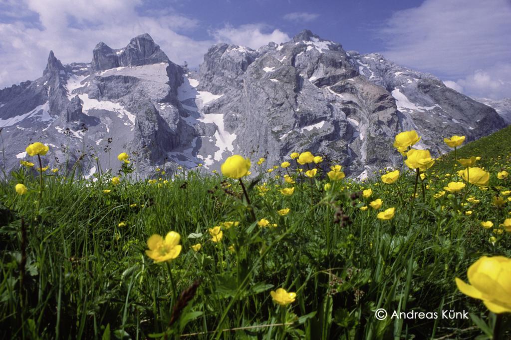 Appartamento Haus Schnetzer Schruns Esterno foto